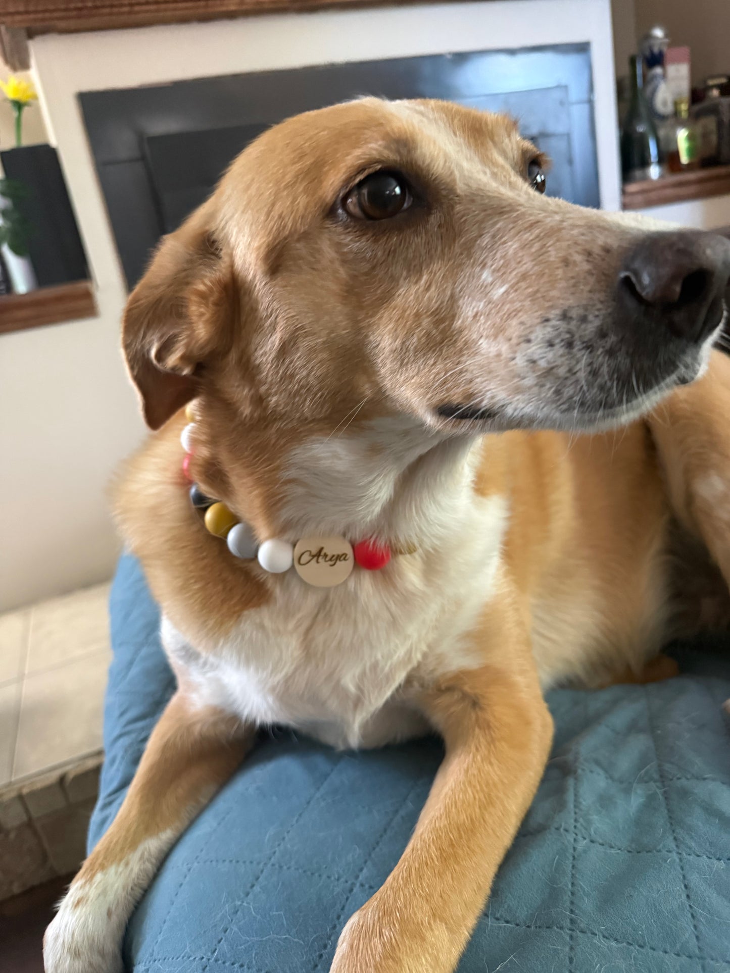 Personalized Pet Bead Necklaces