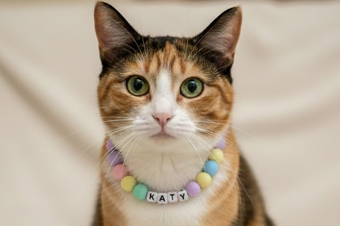 Personalized Pet Bead Necklaces