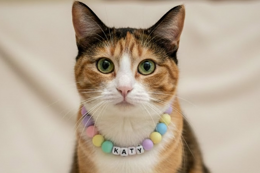 Personalized Pet Bead Necklaces