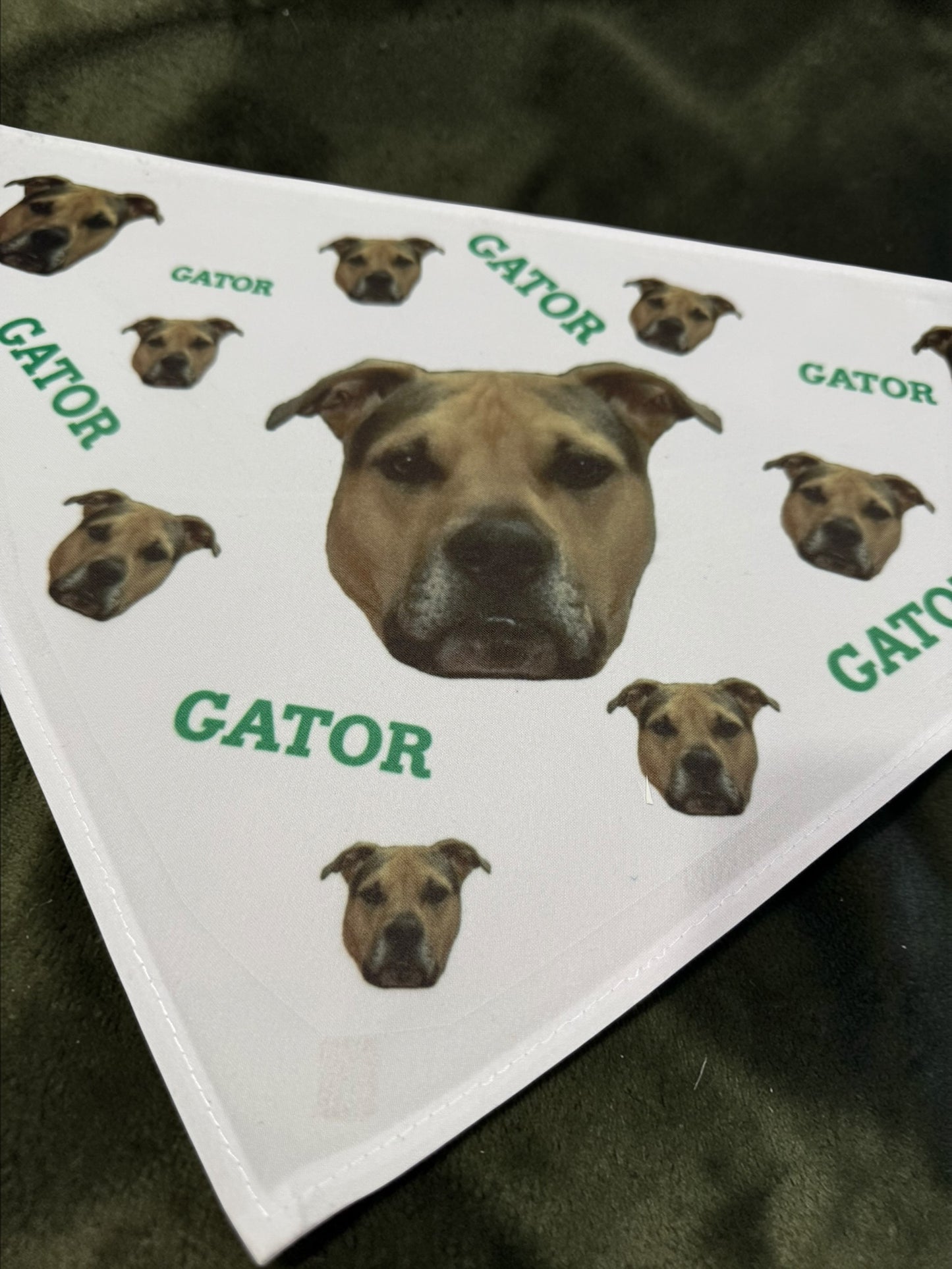 Custom Dog Bandana Scarf